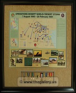 Desert Storm medals with poster
atlanta_diploma_frames.jpg