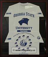 Framed t-shirts for Georgia State University
cobb-county-mirror-hanger.jpg